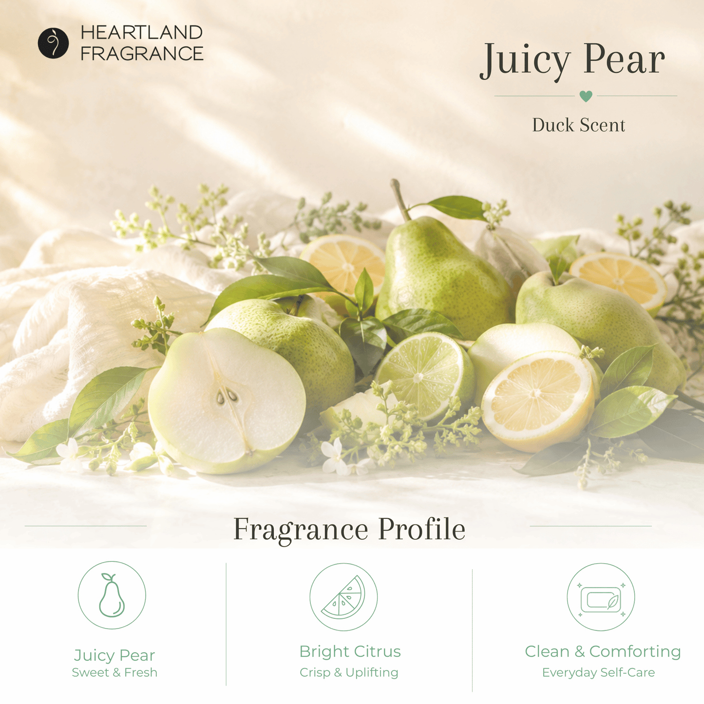 Heartland Fragrance | Everyday Duck Toy | Handmade Duck Soap for Kids | Mild & Moisturizing