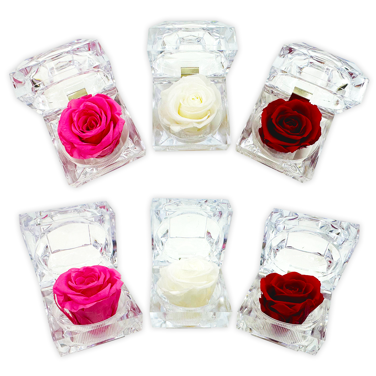 Artisanal Preserved Eternal Rose Bulk Closeout Assortment