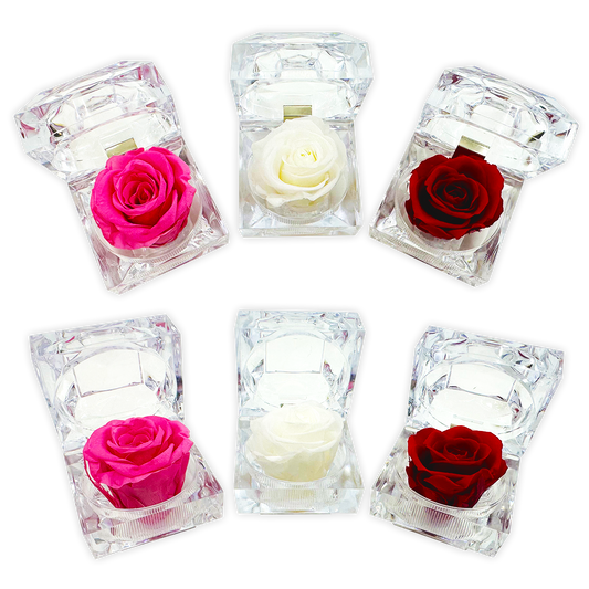 Artisanal Preserved Eternal Rose Bulk Closeout Assortment