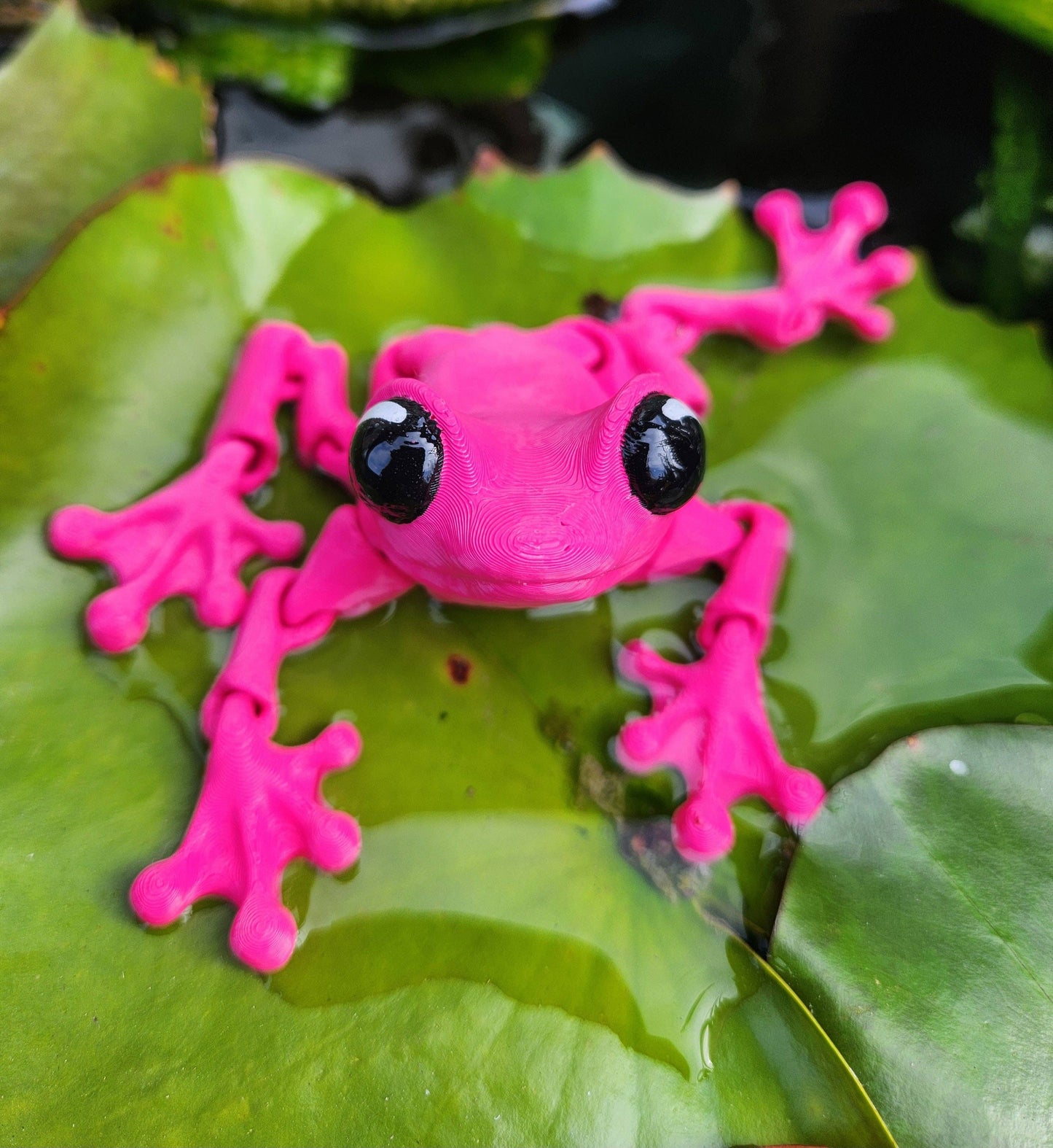 Froggy Friend- Articulated Fidget Toy- Spring & Garden Gift