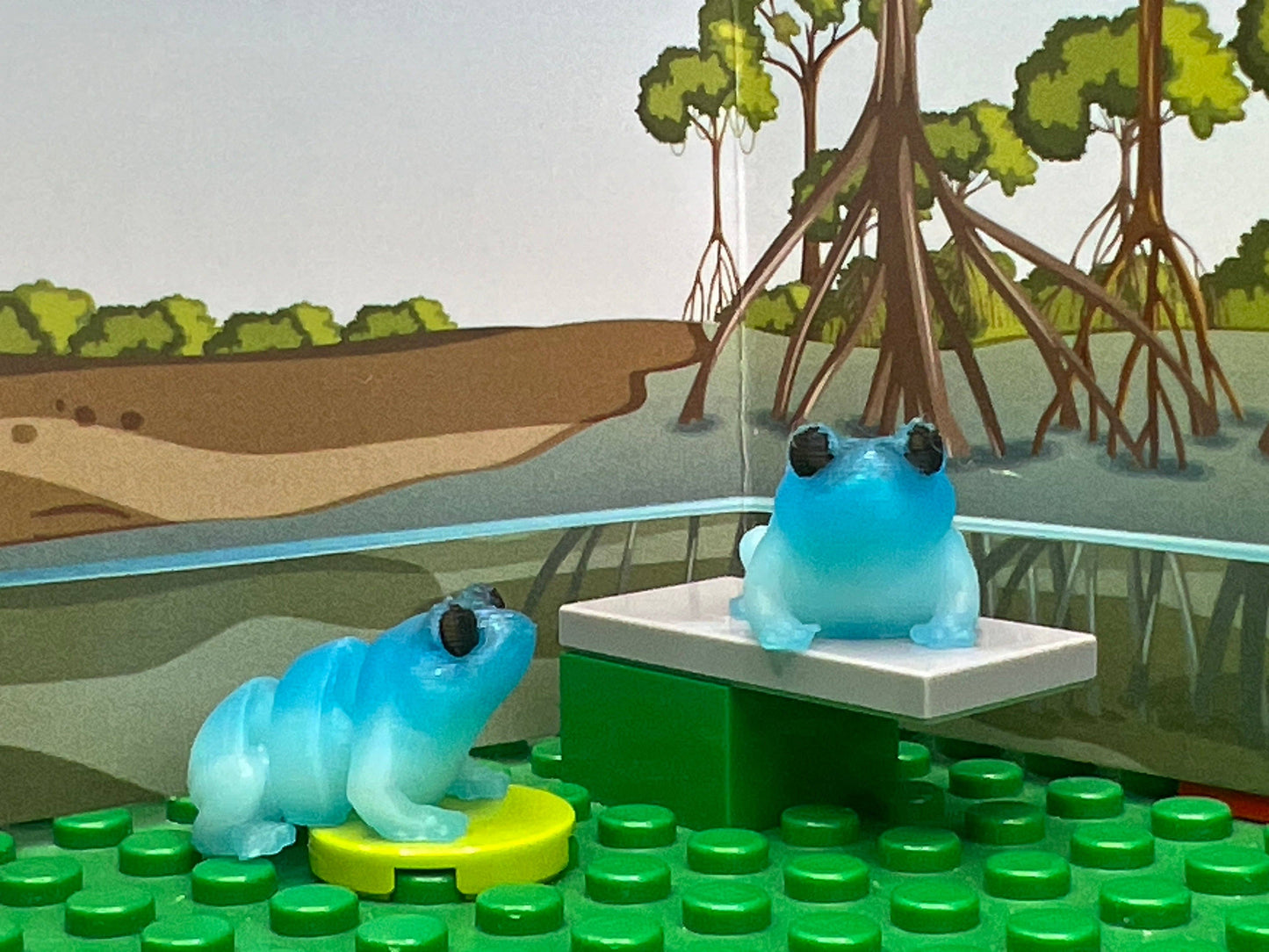Frog Fidget Friend - Includes Play Scene