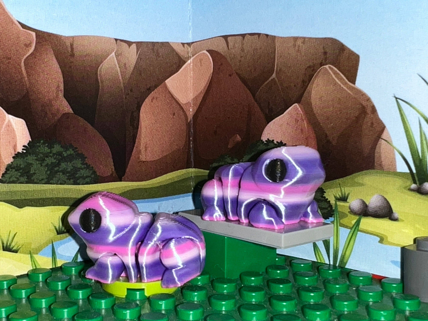 Frog Fidget Friend - Includes Play Scene