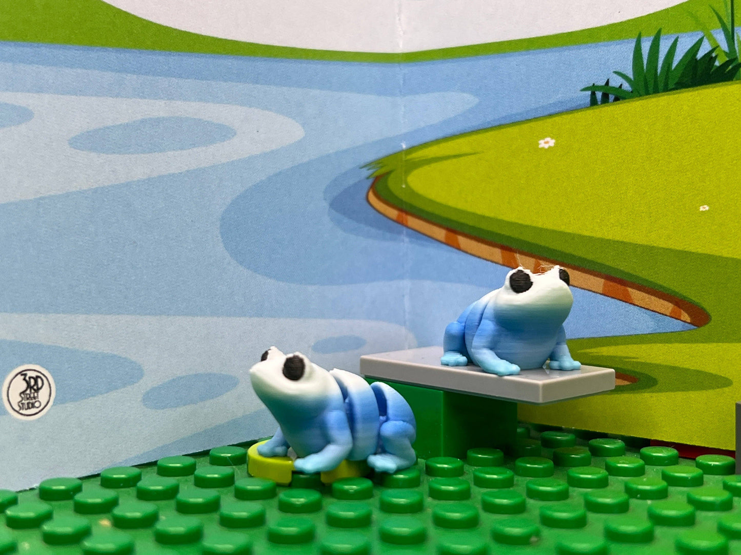 Frog Fidget Friend - Includes Play Scene