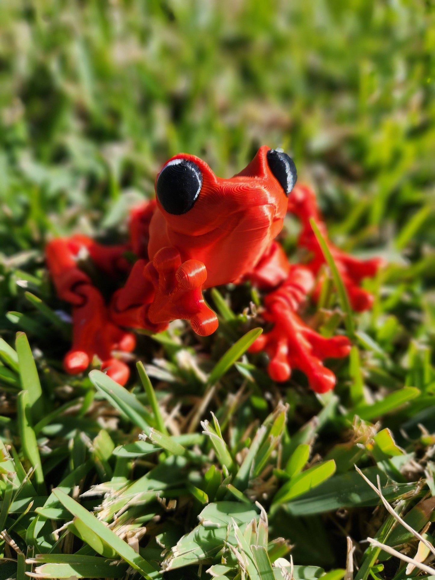 Froggy Friend- Articulated Fidget Toy- Spring & Garden Gift