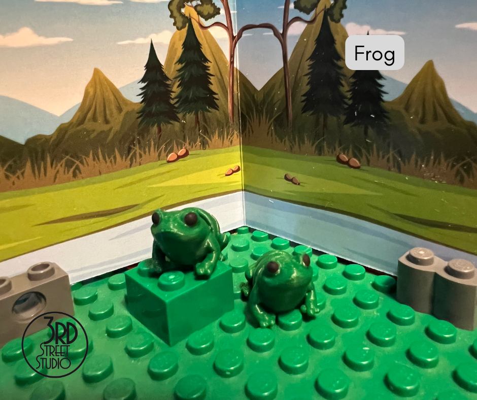 Frog Fidget Friend - Includes Play Scene