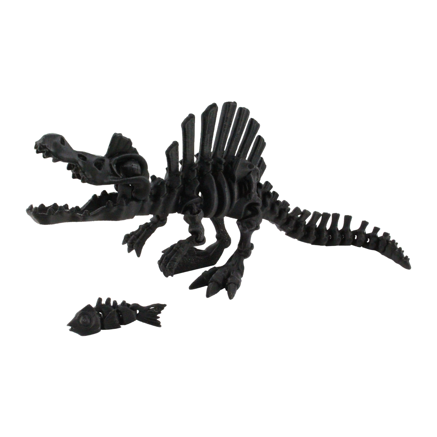 3D Printed Dinosaur Bundle Pack, 12 Dinosaur Skeletons