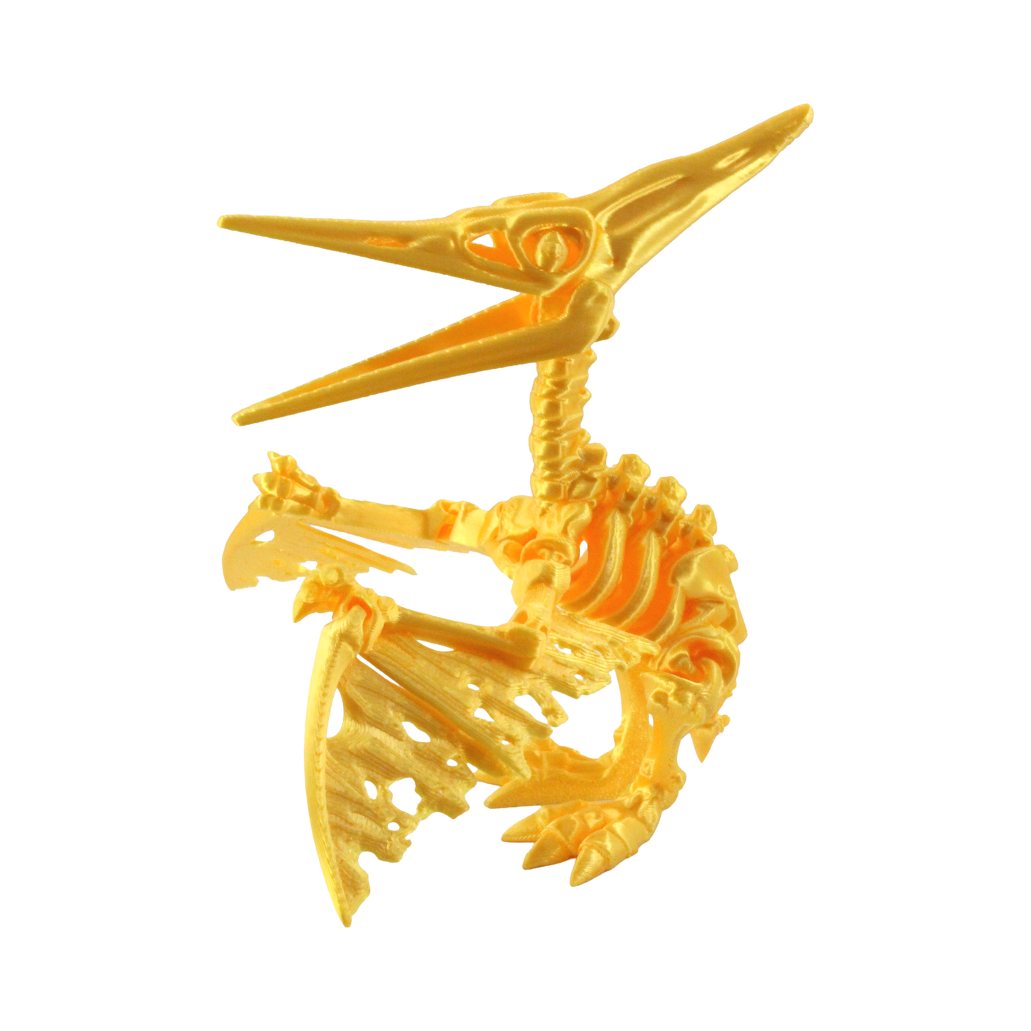 3D Printed Dinosaur Bundle Pack, 12 Dinosaur Skeletons