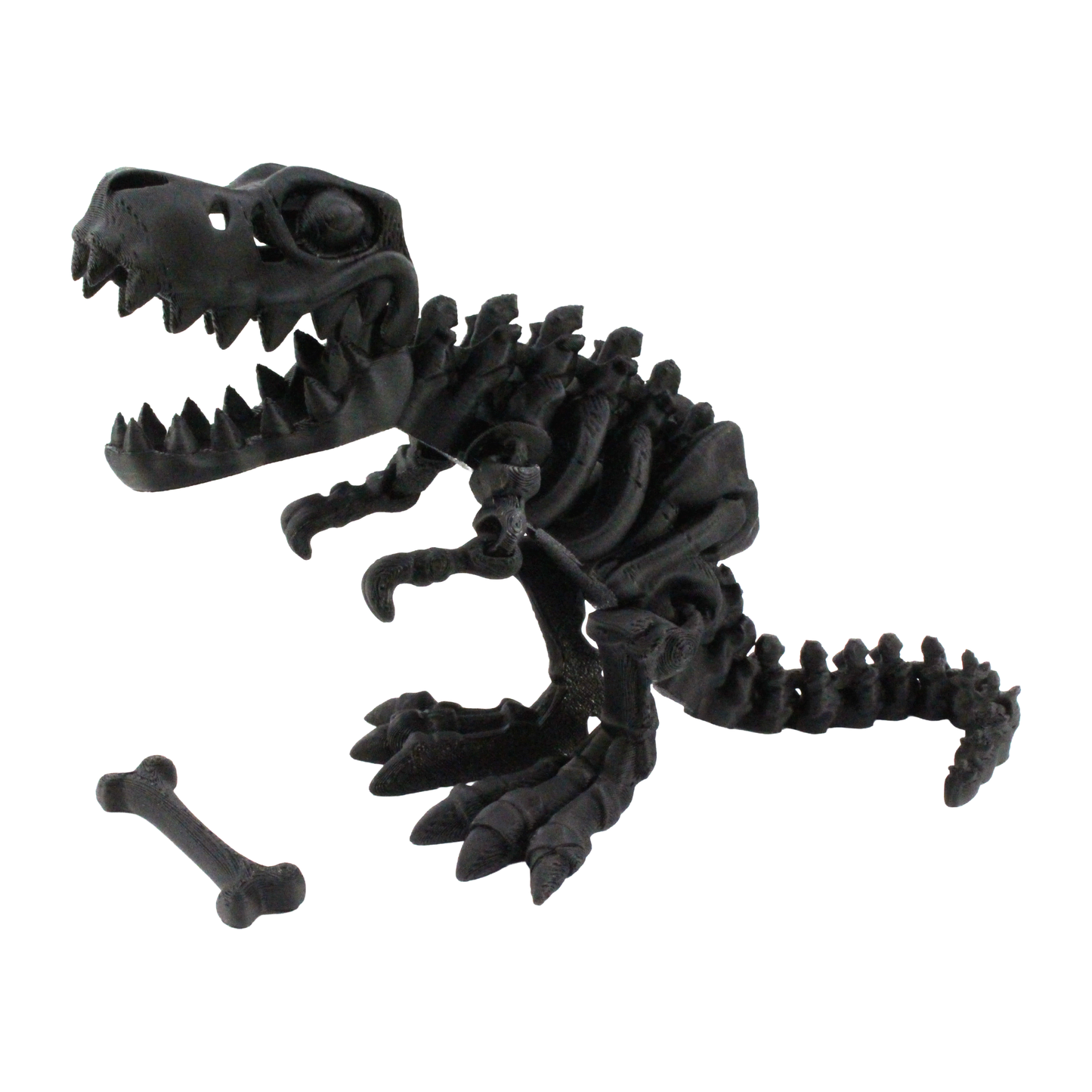 3D Printed Dinosaur Bundle Pack, 12 Dinosaur Skeletons