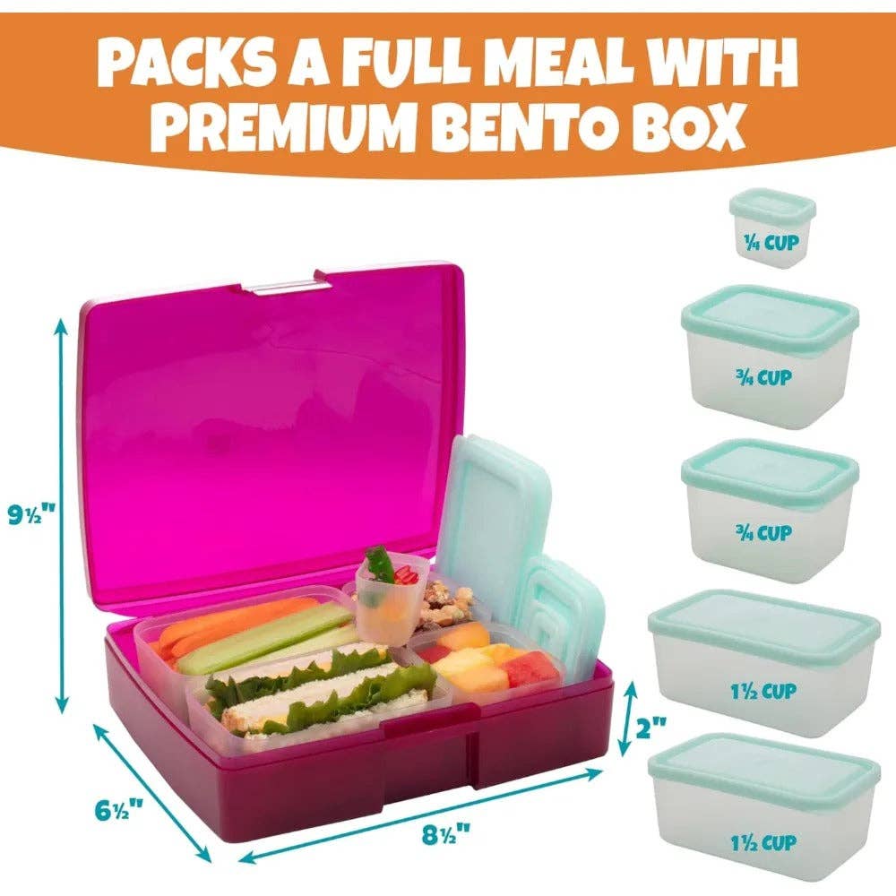 Bento Box Set with 5 Removable Nesting Containers - Rasb/Blu