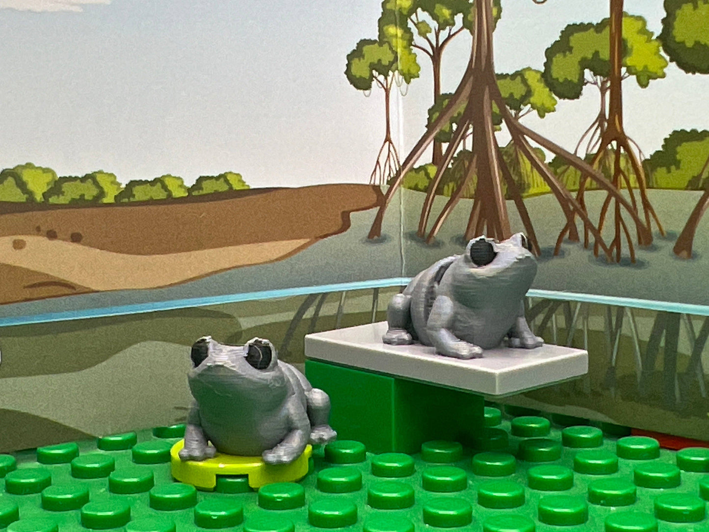 Frog Fidget Friend - Includes Play Scene
