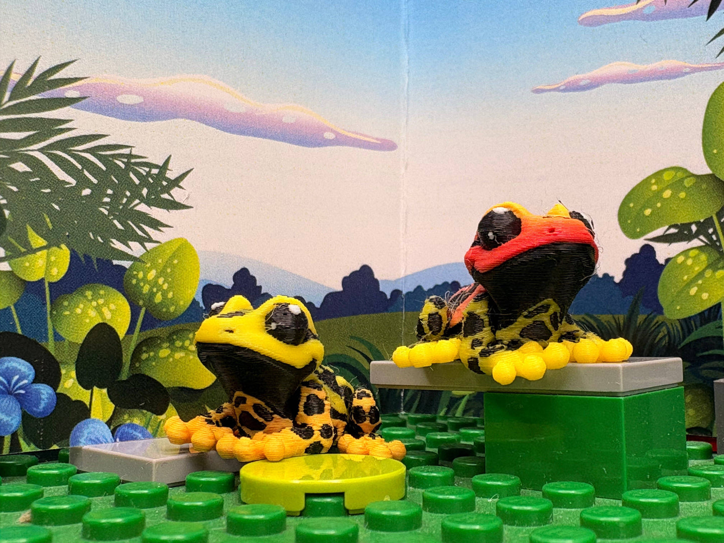 Tree Frog - Fidget Friend - Includes Play Scene