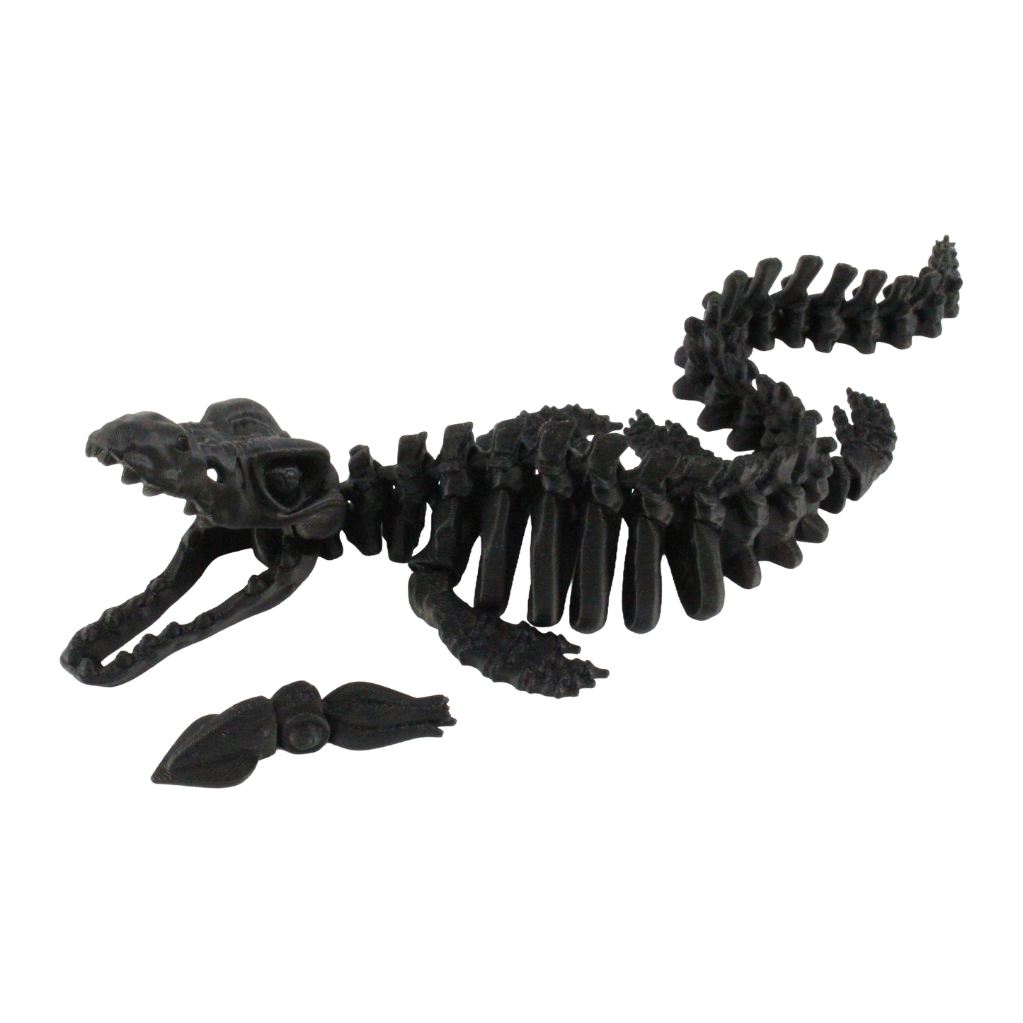 3D Printed Dinosaur Bundle Pack, 12 Dinosaur Skeletons