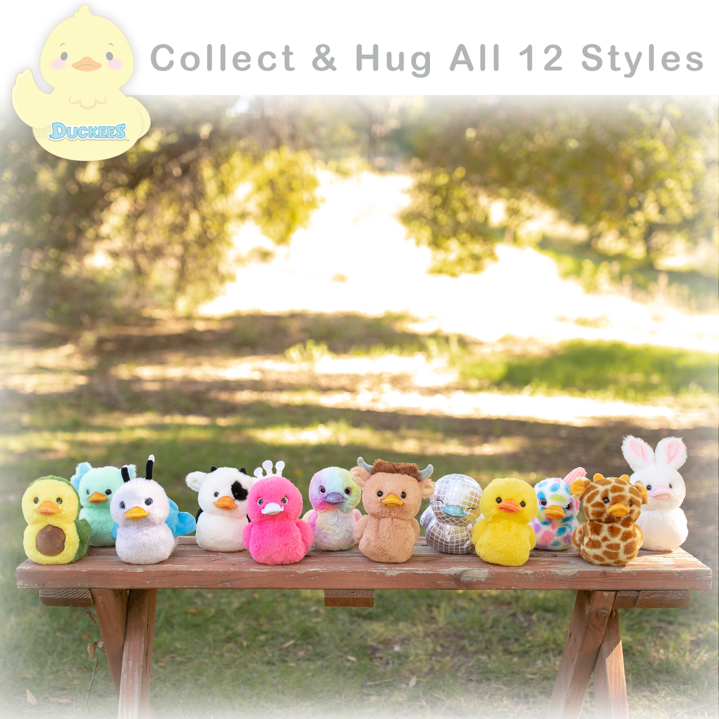 Duckees CDU Asst /12 Styles /16 pc