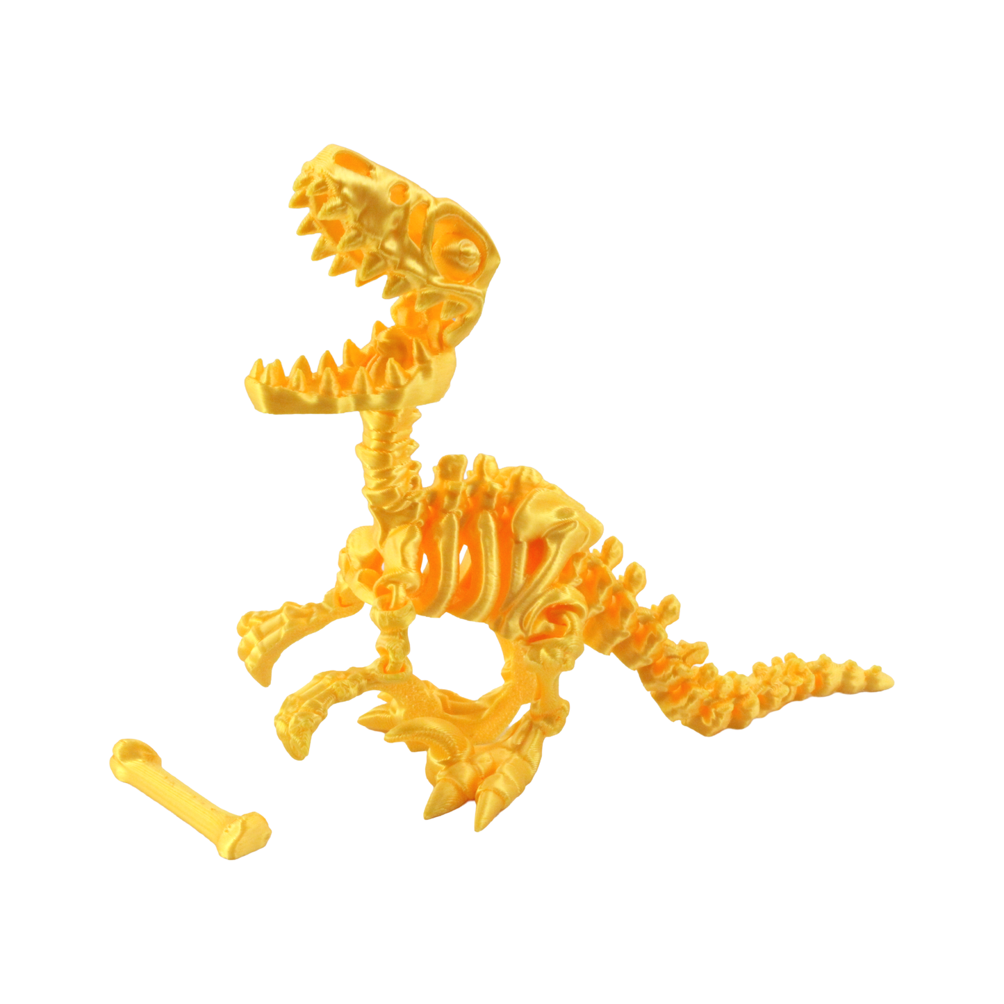 3D Printed Dinosaur Bundle Pack, 12 Dinosaur Skeletons