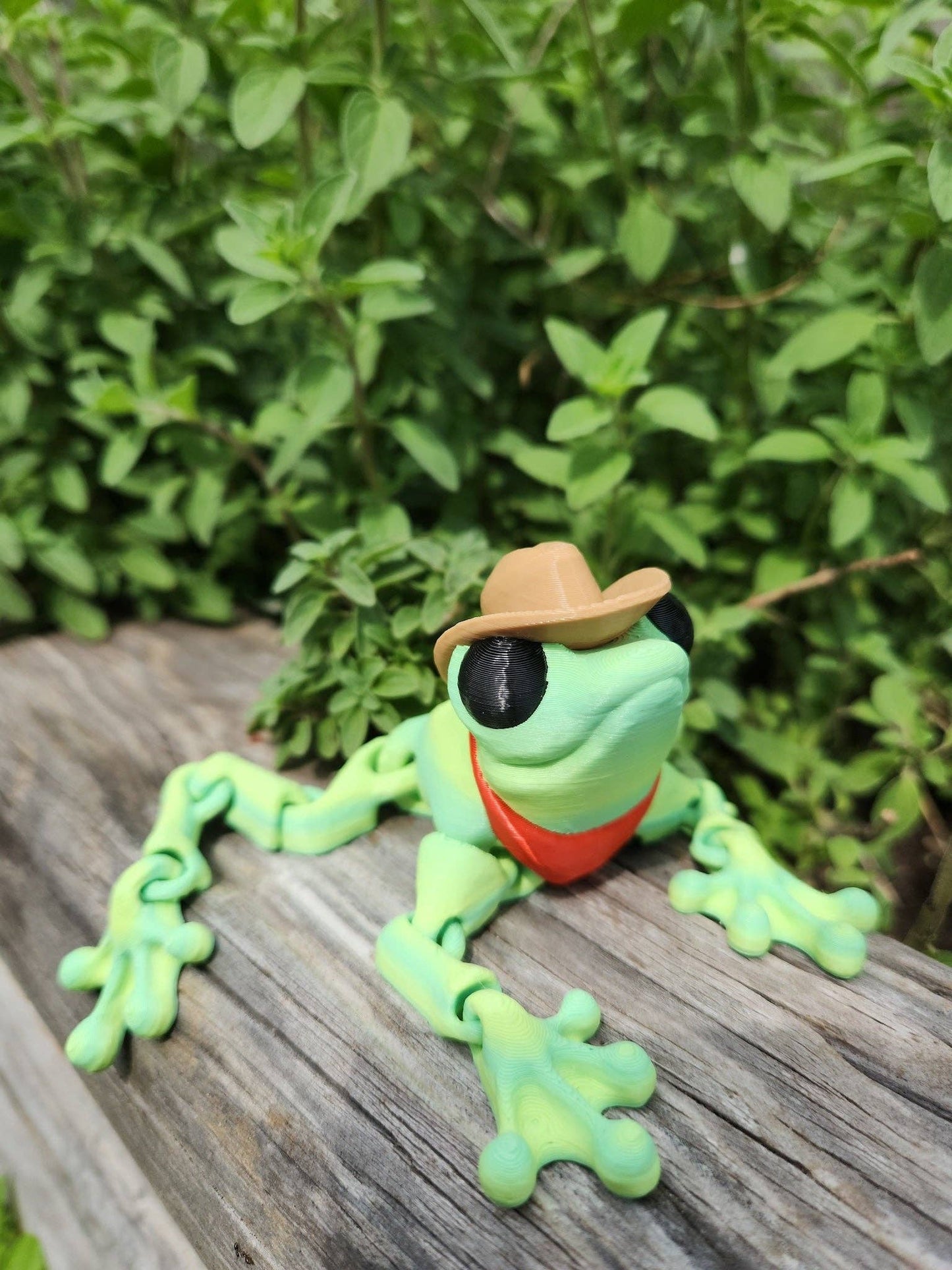 Cowfrog- Rodeo Ready Cowboy Frog Fidget